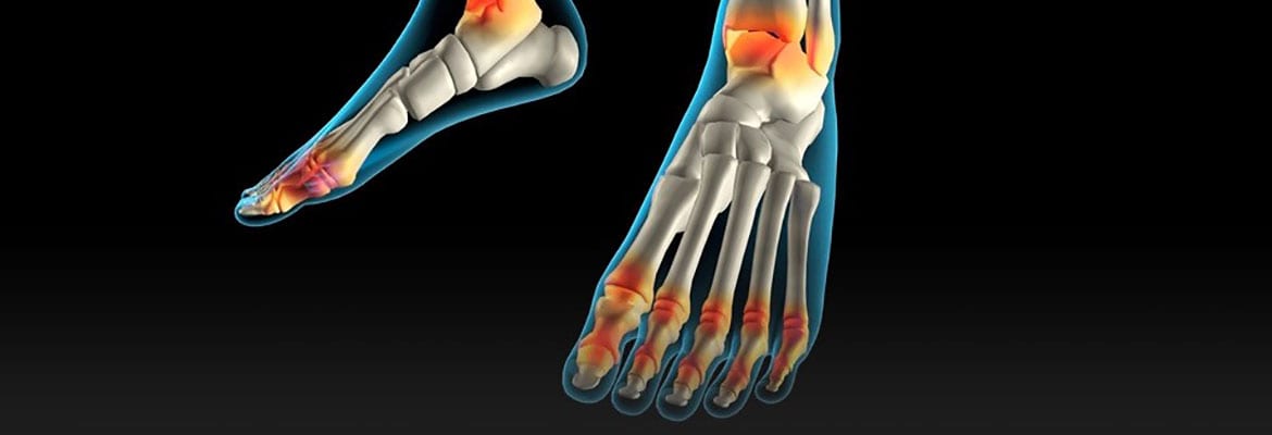 A 3 d image of the foot and ankle bones.