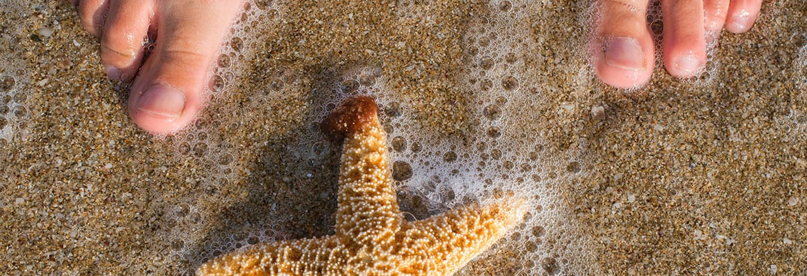 A close up of an orange starfish in the sand.